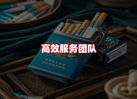 专业团队